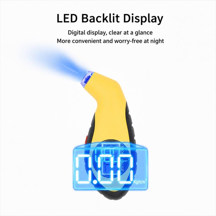 EDA0101769_B4.jpg@5f98d64efe0c34edc66eb50a4652c00c