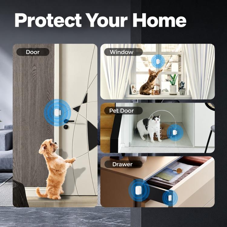 EDA0103151_B3.jpg@64548c526671b7c9fb193a1b58c434a0