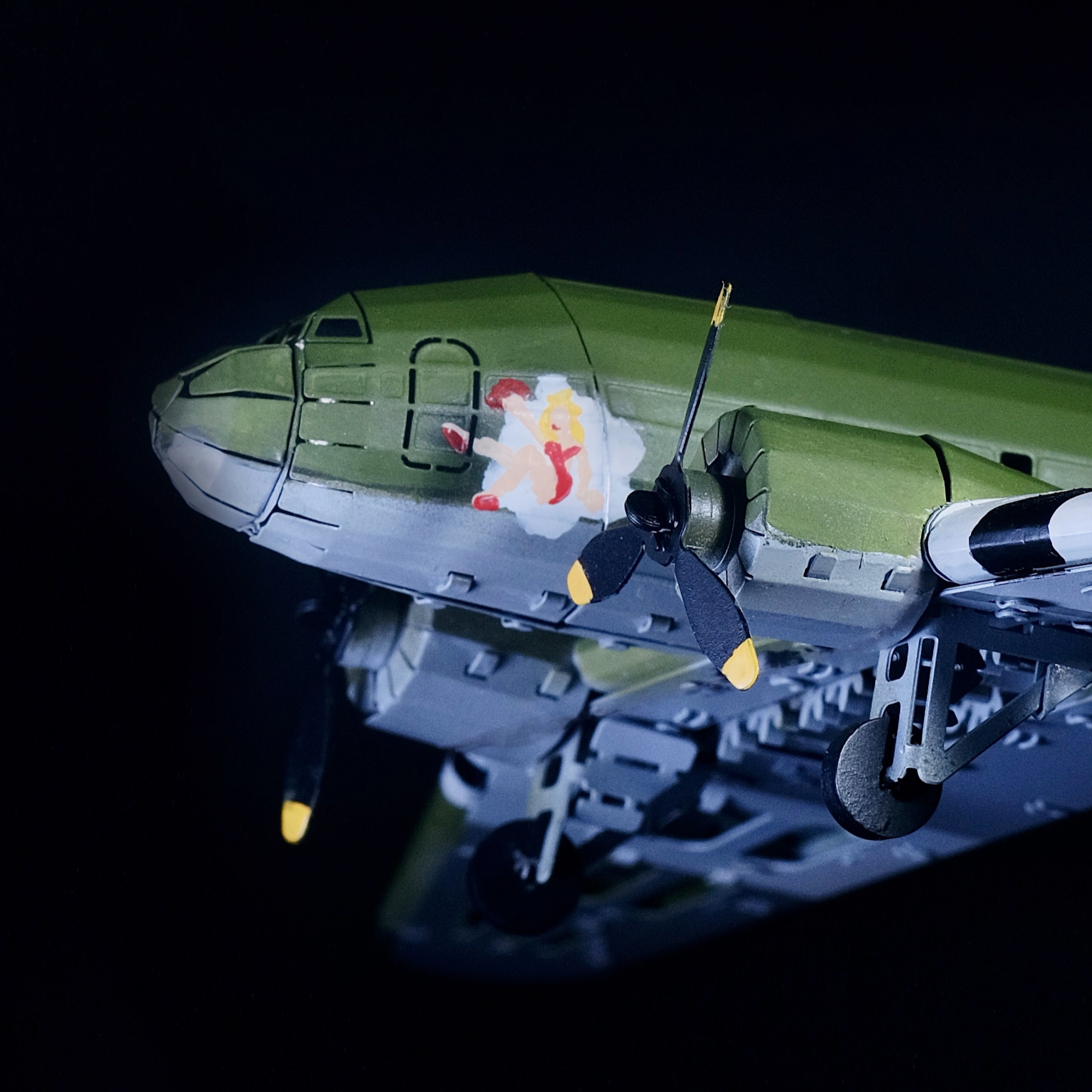 REMARKABLE DOUGLAS DC-3