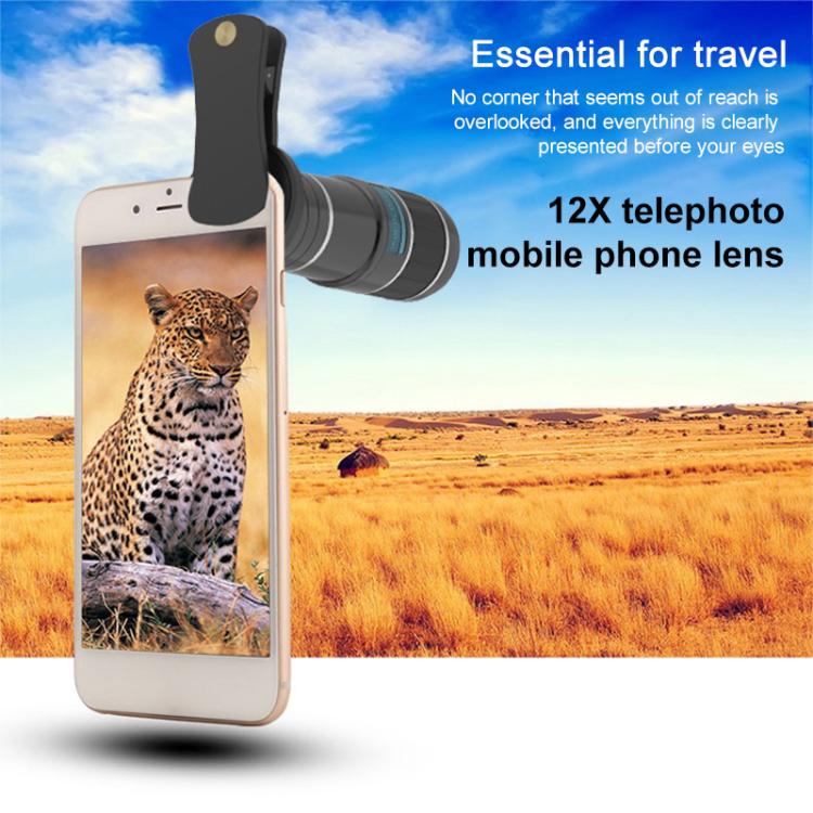 IP7G1344_5.jpg@909b4c80f5dc3c470fa4cf7f2bb0acef