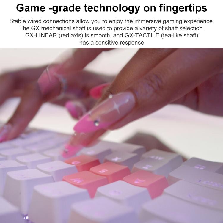 KB5598_2.jpg@08dde3c03c64e23c627cc2bf7fc60b52