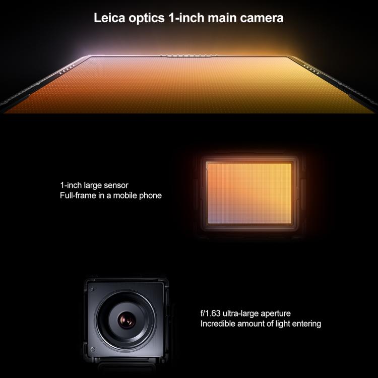 MPH2833_B8.jpg@c71348f0fa61030ba7e9038f74cf4a45