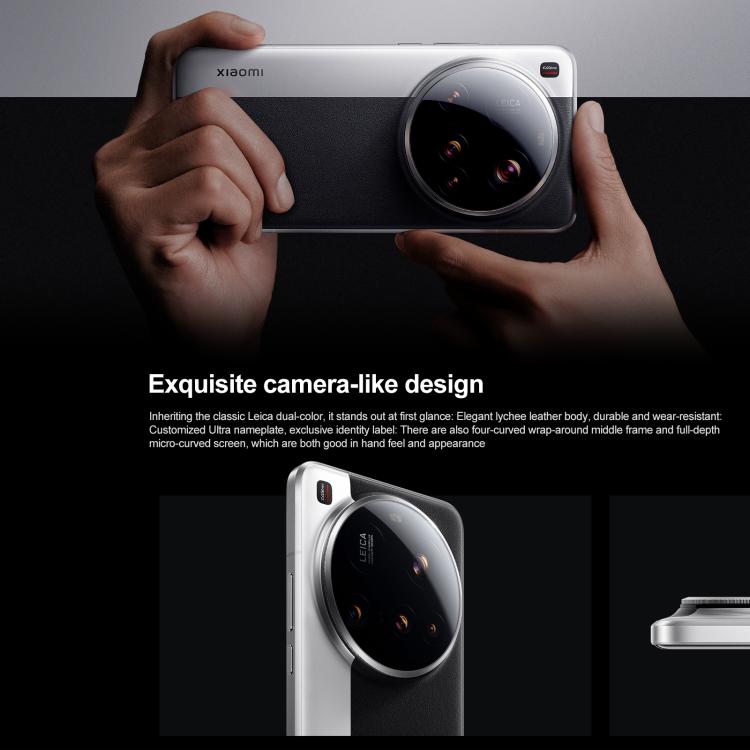 MPH2834_B4.jpg@625509926373464884218a37824a9e74