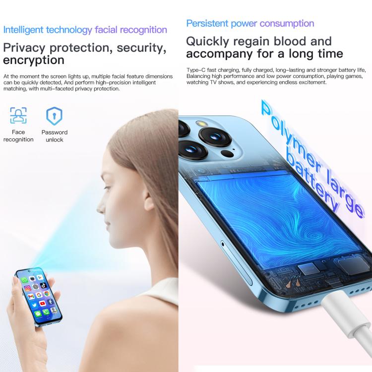 MPH2869_B6.jpg@585017235c7562aa7a4b967e139d151a