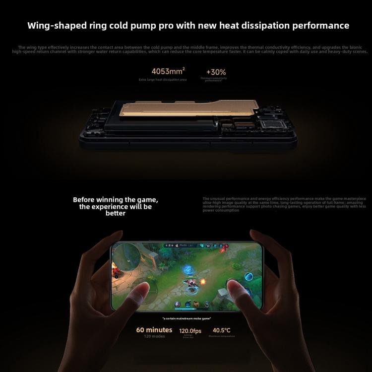 MPH2871_B3.jpg@5e07e46fbb95934d438337515d481507