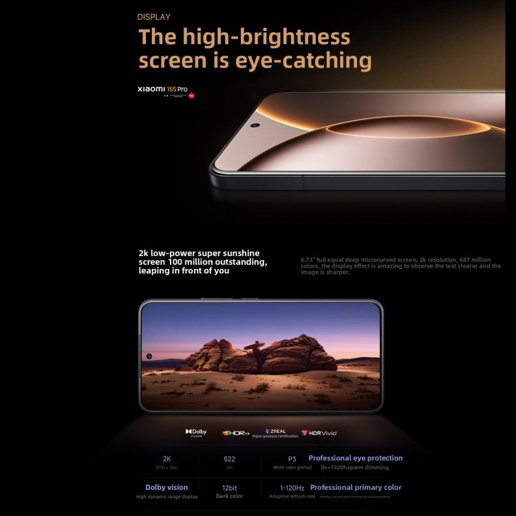 MPH2871_B8.jpg@1cb265d7e84a8cf823b8ba872c3ca7fa