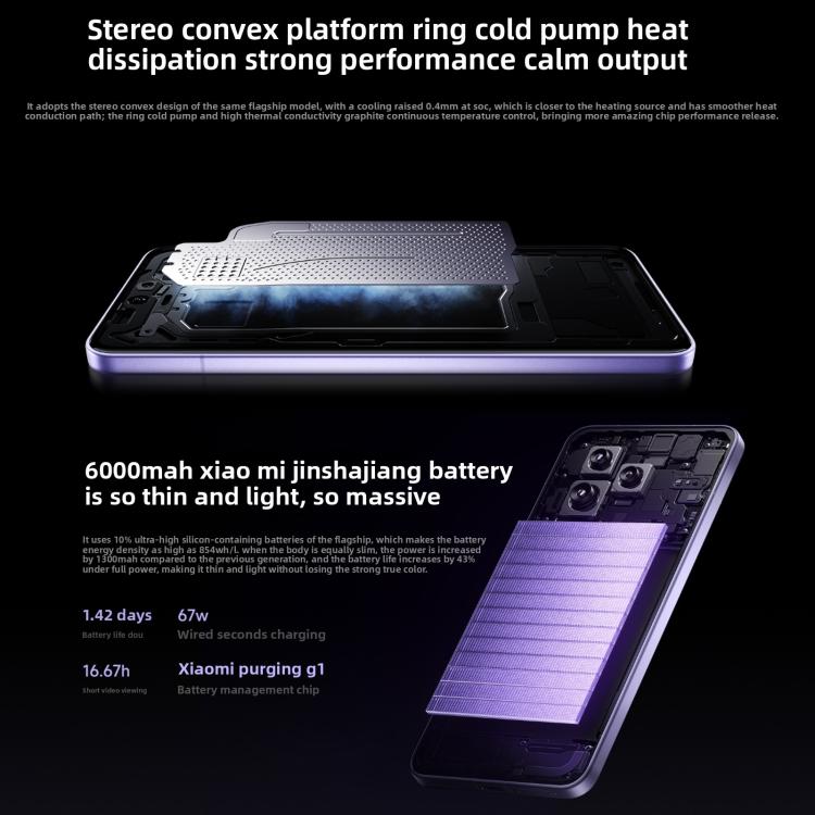 MPH2874_B15.jpg@9a42aa007ded0af845861cad7fcf6ead