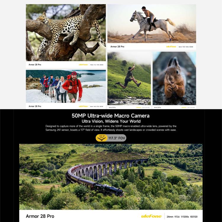 MPH2891B_12.jpg@b22976cb883a7e2d554ea935cd2ad83d