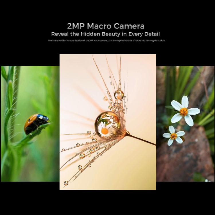 MPH2968_B7.jpg@b260e7938be257aaba5f7f48b28a3898