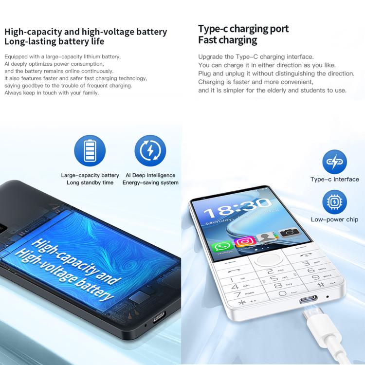 MPH2973_B7.jpg@3bd26dc25dfc18170d3f70b58eabe5c4