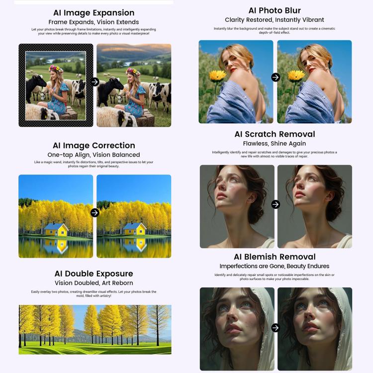 MPH2979_B12.jpg@a359abd3010be4011b71b5c21d654095