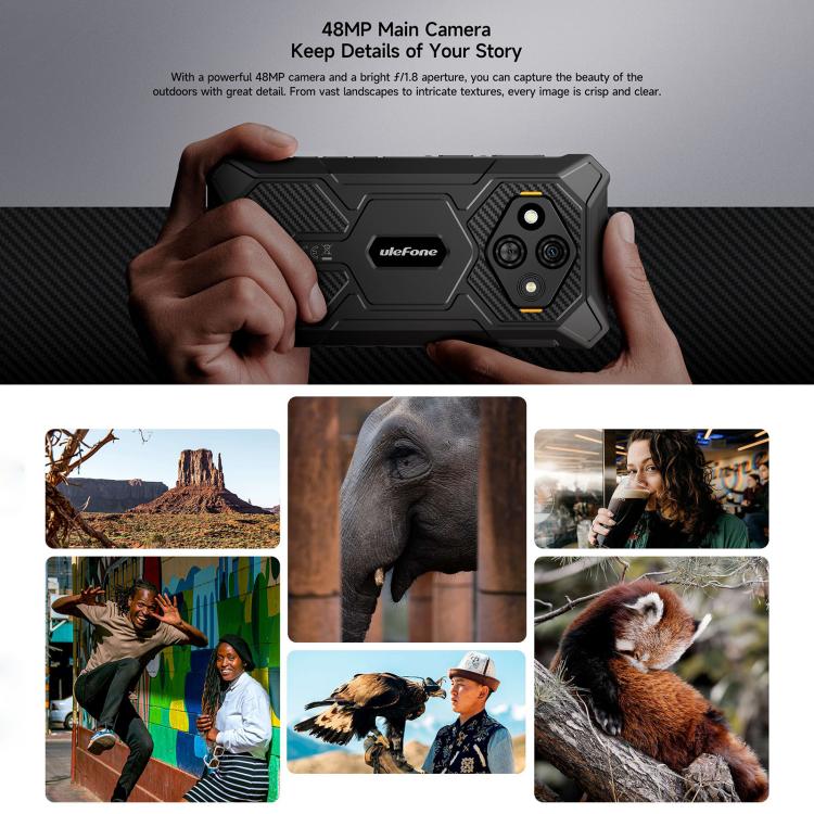 MPH3077_B11.jpg@e9950cdb58daa60f9f713705c22df1f9