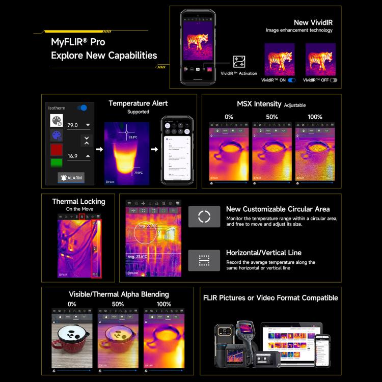 MPH3103B_4.jpg@2bae1e6f5af93c1e74b2cb85670ead36