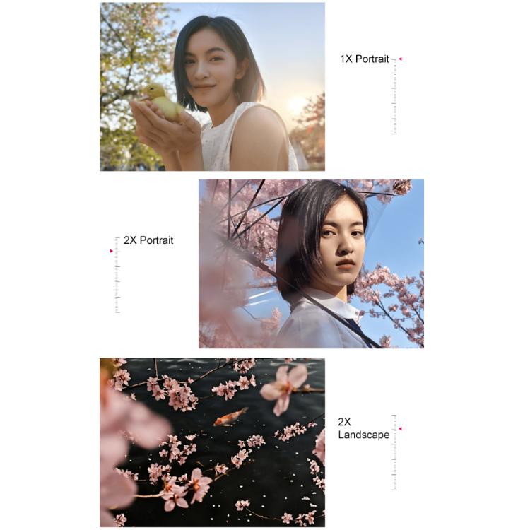 MPH3534_B10.jpg@911729c05c5f389780b1a12b734bcce4