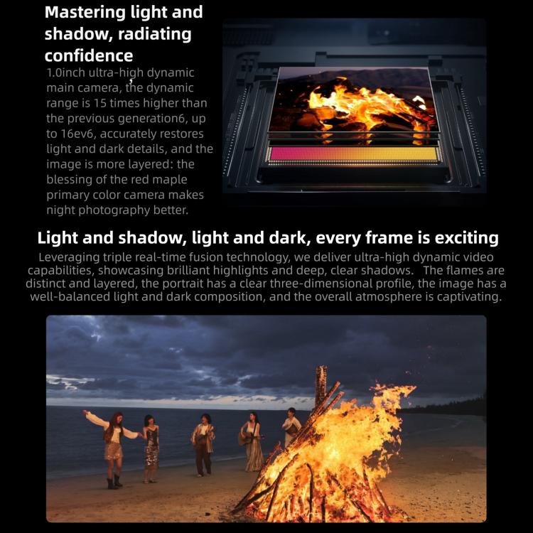 MPH4254_B6.jpg@b3c8bf55d32e0edfba2f6851350bd8c5