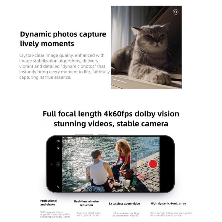 MPH4268_B16.jpg@aafe62f32b42c5908a0a78897e62c86b