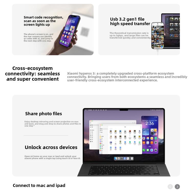 MPH4268_B19.jpg@1c19741a3efccfdce59db943bb918665