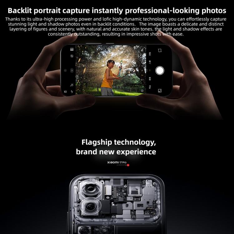 MPH4273_B19.jpg@312bafaf584ce29559e3783047827350