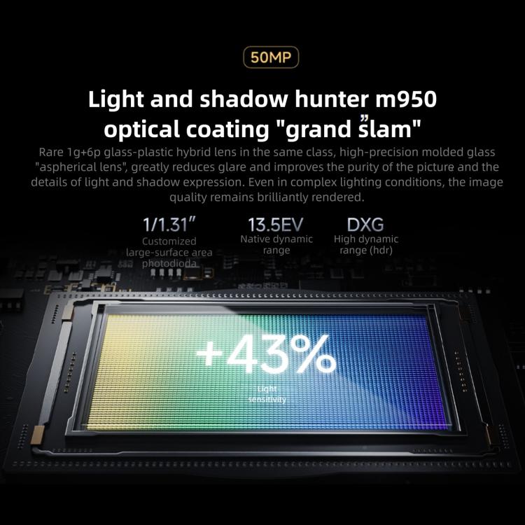 MPH4462_B6.jpg@f272d1f266d0c7b08eddff9477275202