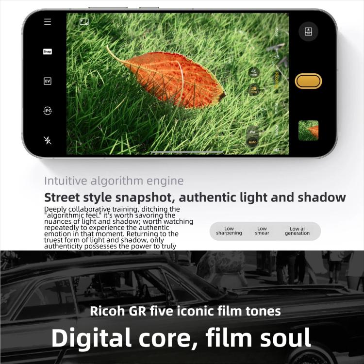 MPH4483_B8.jpg@2df79a4260b79444fe6c55b237e969b3