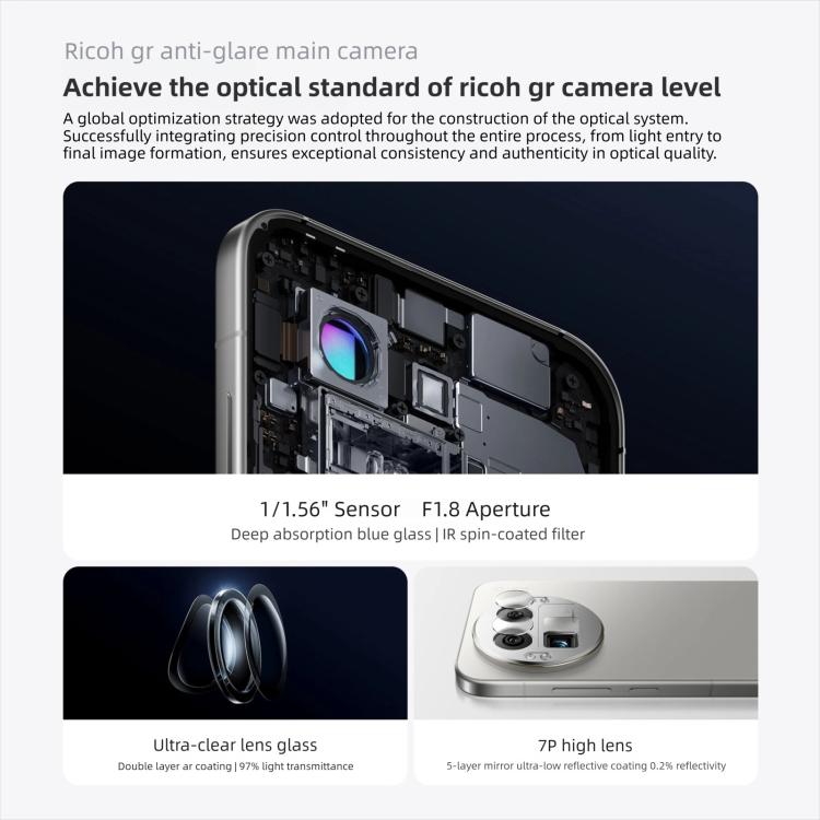 MPH4486_B7.jpg@2c8e77bb58f1e96257d5c3217de5f8d8