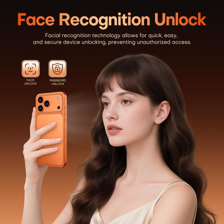 MPH4493_B13.jpg@d33d2f487904d9f08ee83cb4946b6b7a