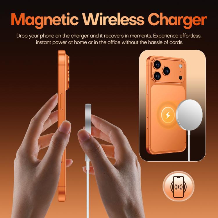 MPH4494_B12.jpg@9aa9185a48798475b5a6bfbe37f355a1