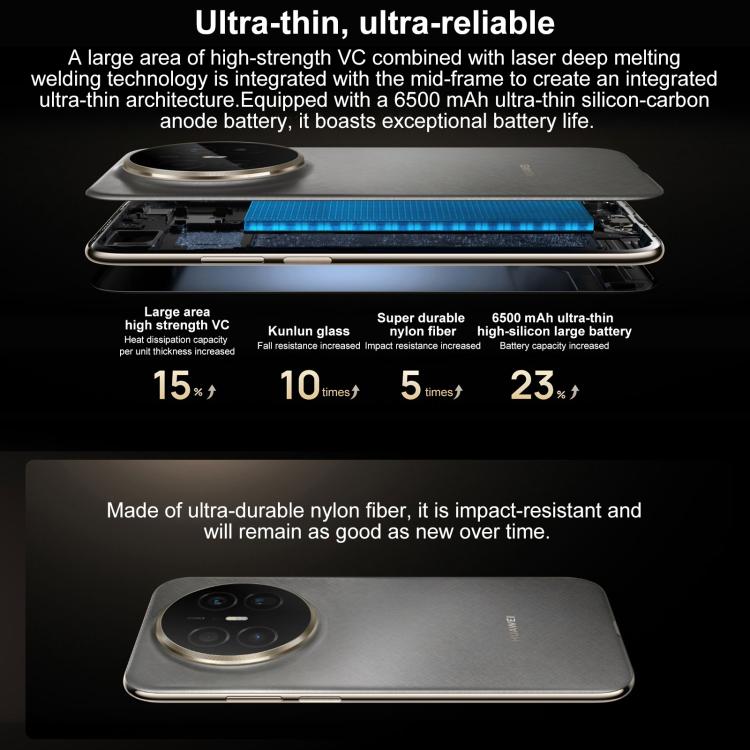 MPH4497_B5.jpg@f63d928179c92c2401a2fb4358df6b37