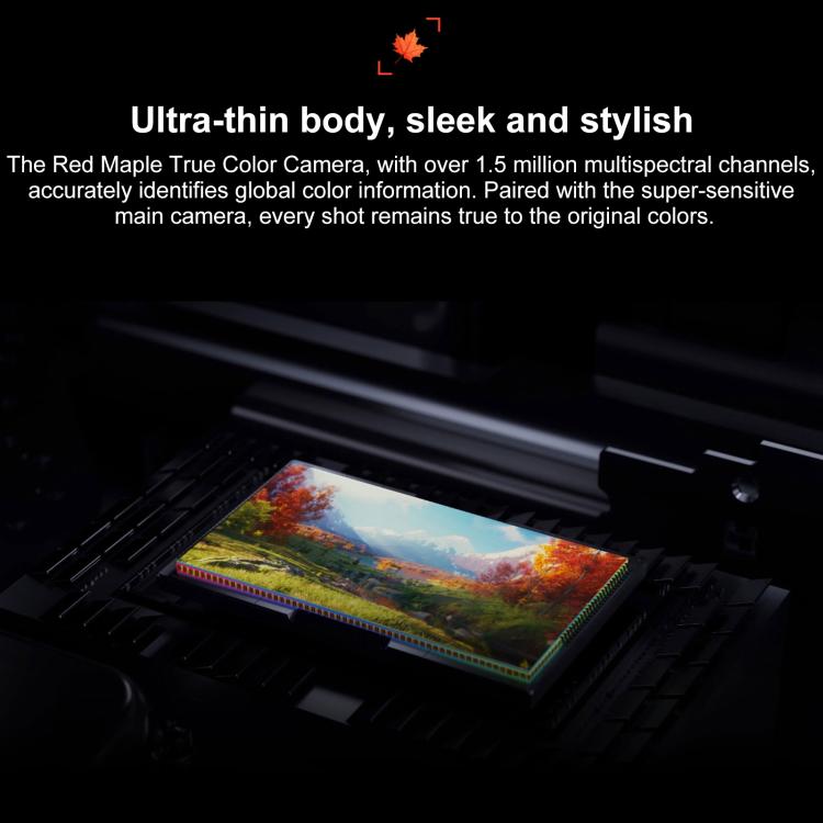 MPH4497_B7.jpg@bb0f9deb3cb2b2cd1269678f6e540b04