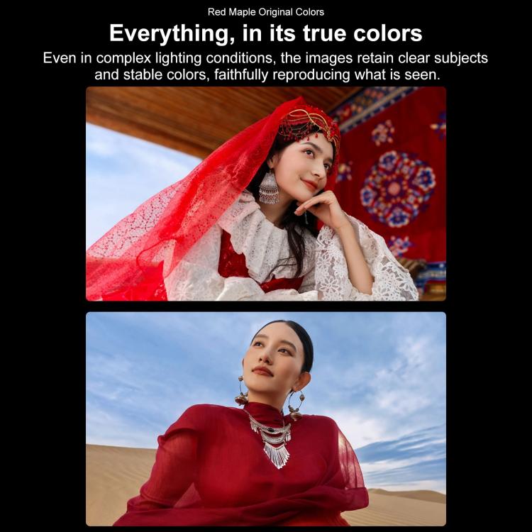 MPH4497_B8.jpg@2039b1cda6bcf2f4893dddfb1a838d77