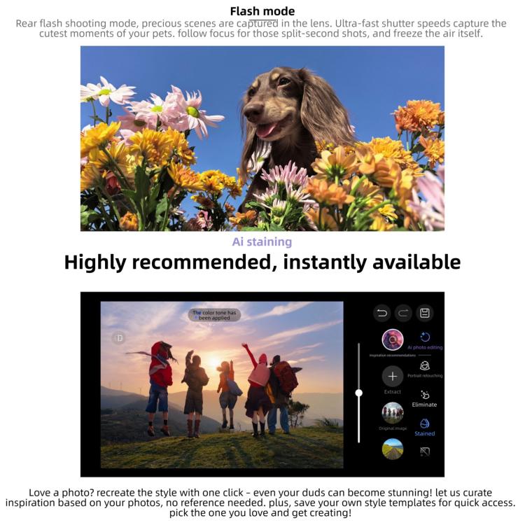 MPH4619_B11.jpg@a569fbabd5e71d8f0dc0e3edbf5da0b3