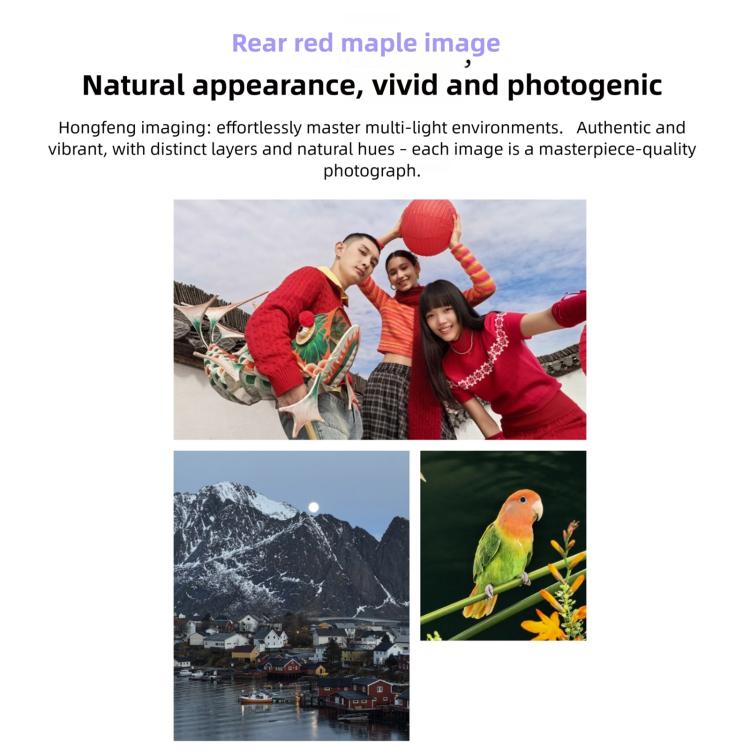 MPH4620_B6.jpg@576fc36fcec316ef5158ddd94043960e