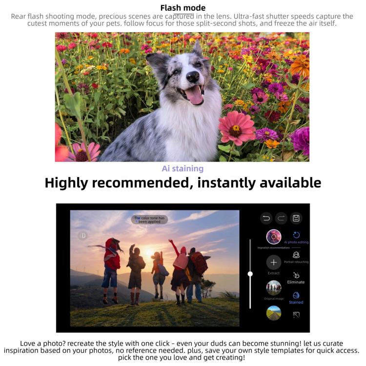 MPH4622_B11.jpg@8d32d5e9bcbe70aee61d30b1519331e1