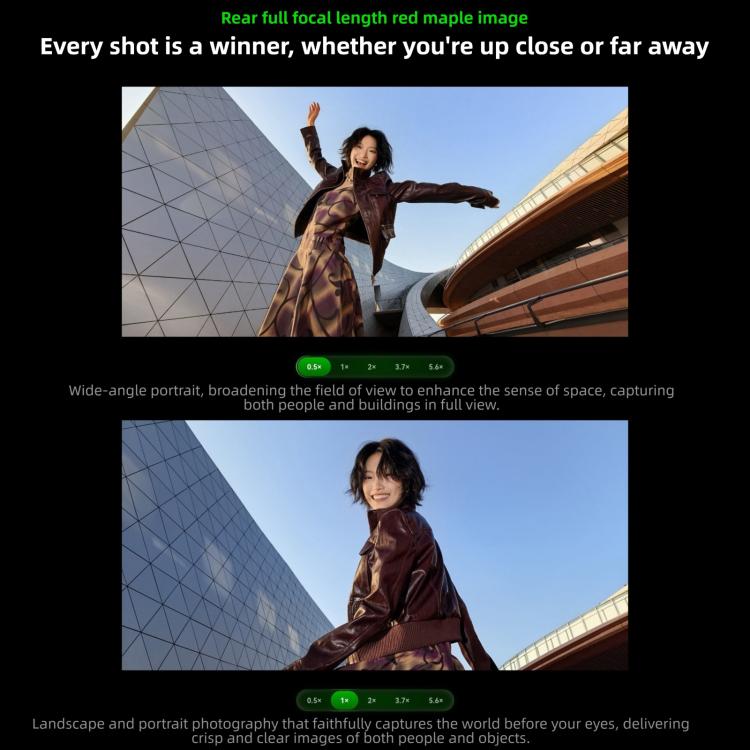 MPH4626_B10.jpg@cfc304a8a082b715ed255034023b23fd