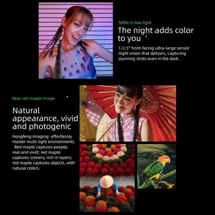 MPH4626_B9.jpg@39abf747bc4a9d9dfa5357b752971756