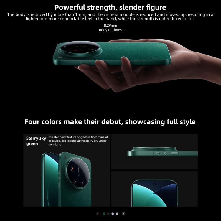 MPH4629_B4.jpg@7699fdbf70530b9fd521b711b1d35f38