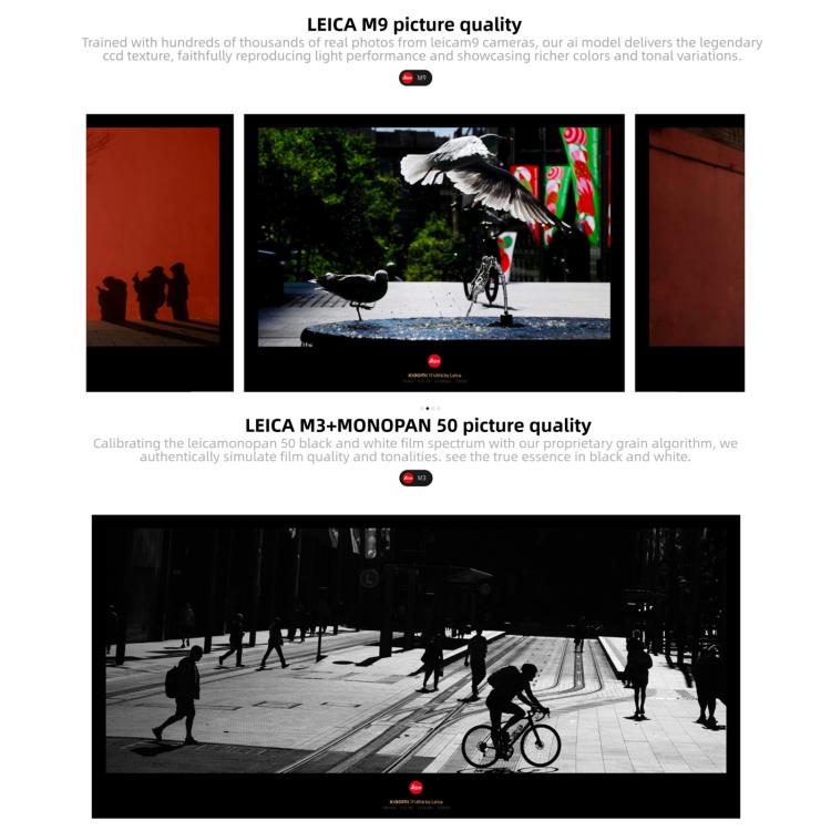 MPH4631_B12.jpg@da50dfa33095b3667cd246b3625348b8