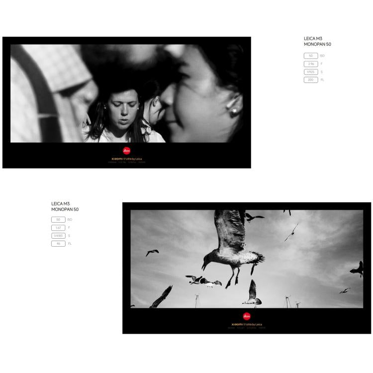 MPH4631_B13.jpg@2519fc2c7fd1c7fb7bcfc6e6b4c00326