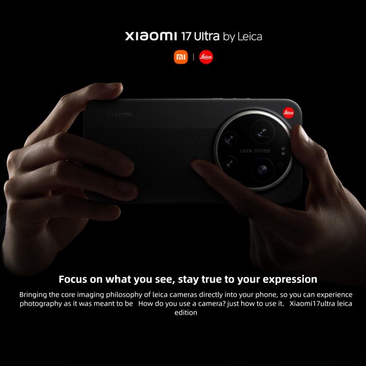 MPH4631_B1.jpg@da572416deaf2360a7ed291db7078c71