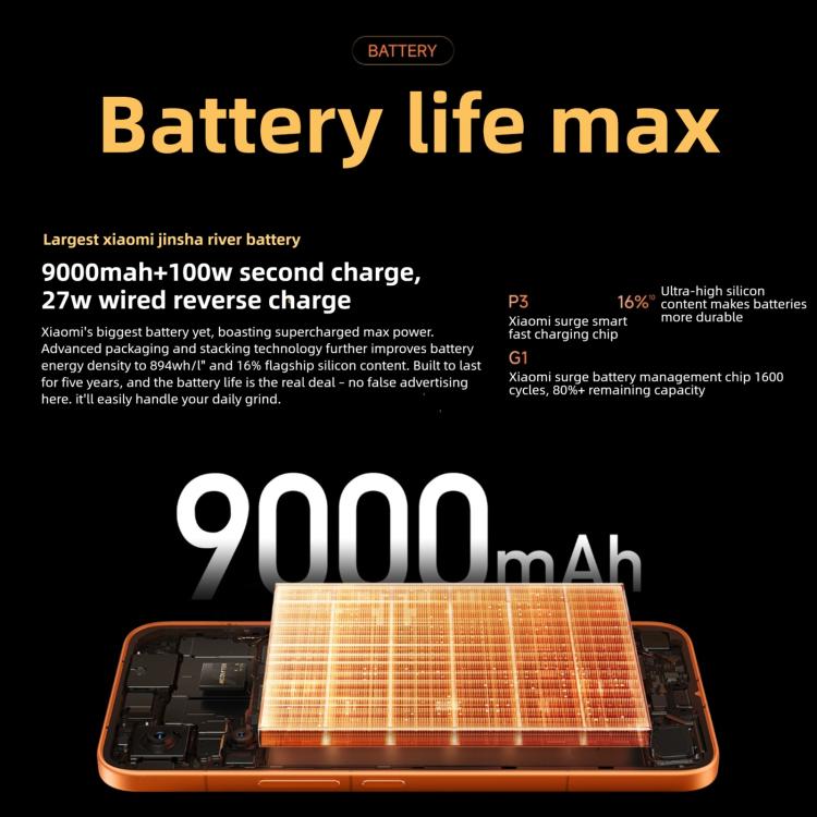 MPH4677_B5.jpg@b73cb5d5cb9849aff9d4991cfa98848e