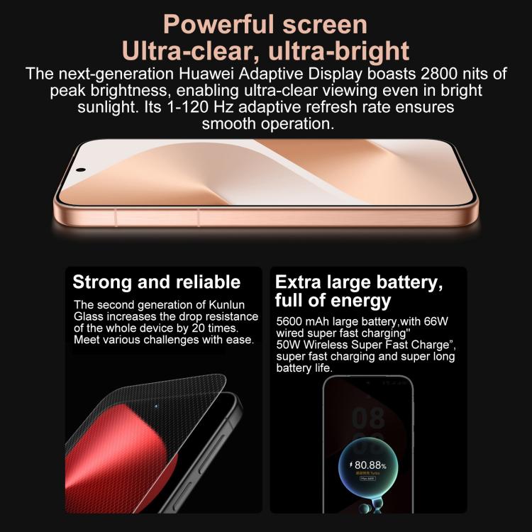 MPH5445_B14.jpg@f8819ebad9f11436757bd6c4e10595e7