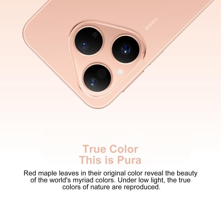 MPH5445_B3.jpg@70cdffc8b873abe2ca24be0826bbcc11