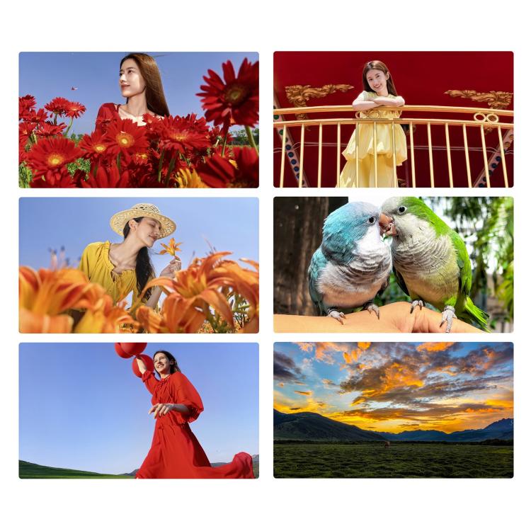 MPH5445_B4.jpg@4997e53f17786561a932a29e8e46d336