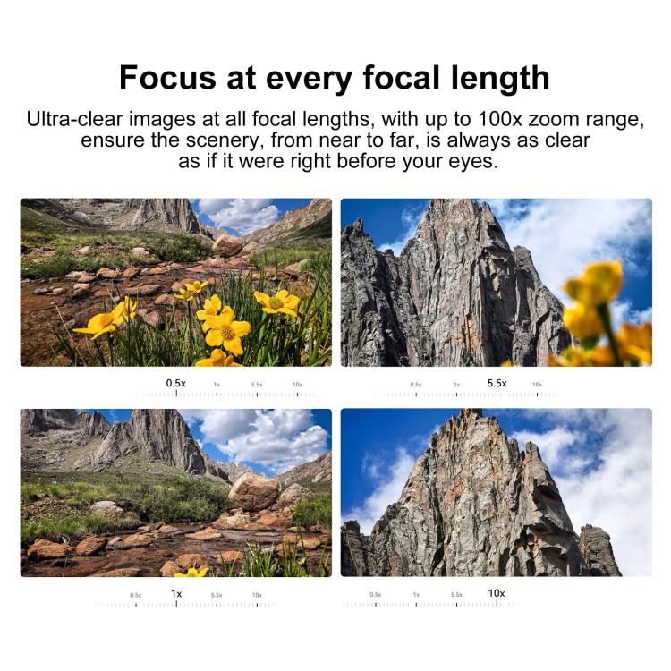 MPH5445_B5.jpg@1fde52021e16b5acb7a33fb5cbd3b37c