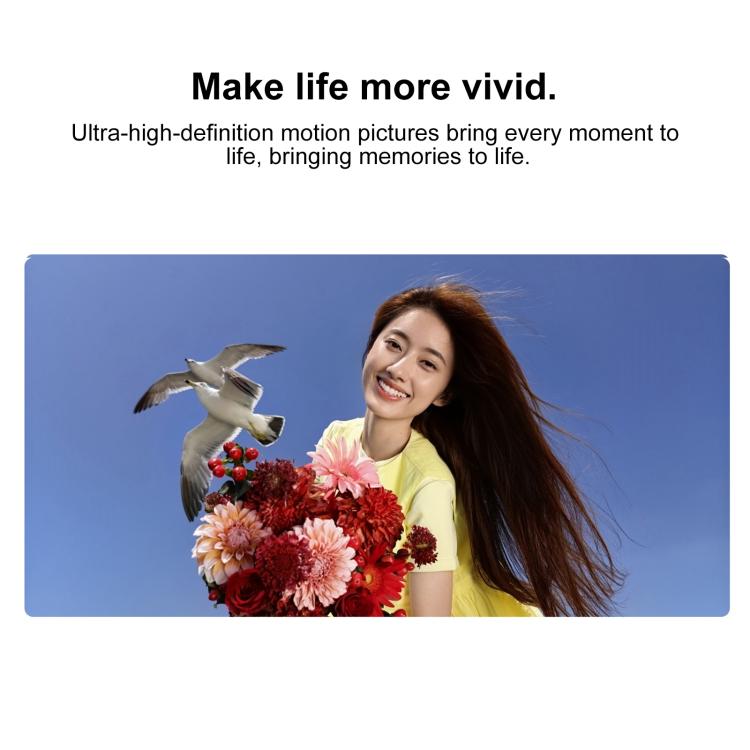 MPH5445_B6.jpg@088a901458fd484577a754b24dd8d2b2