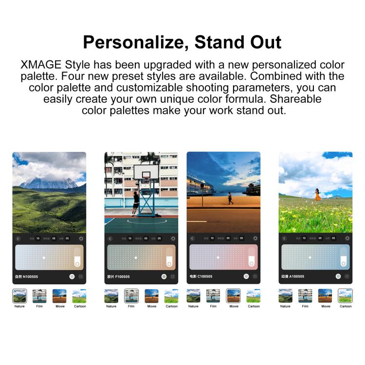 MPH5445_B7.jpg@e9fc47253c3752328425d580f3e04657