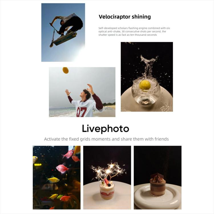 MPH5474_B22.jpg@7e9a9e8d00b4b4247d53073f4d12252b