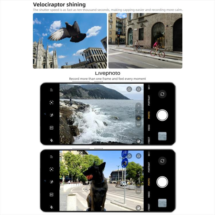 MPH5476_B19.jpg@e1bd598708983a0b236711e1ade2fdfb