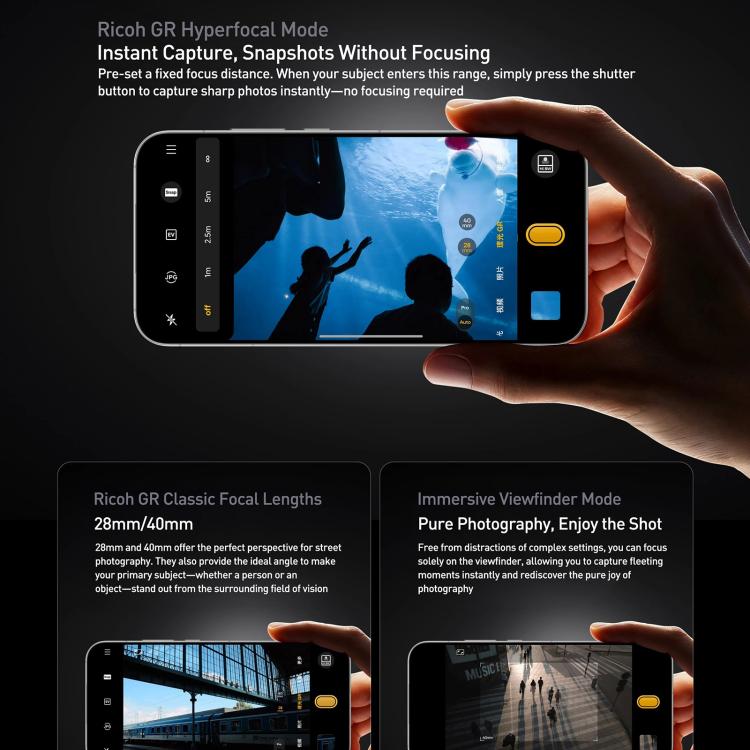 MPH9995_B7.jpg@df0112244cc83200904ff89e35d9c115