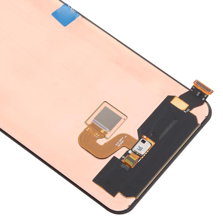 RPS0309_3.jpg@5308d494e8d3e177d47af03769fd15aa